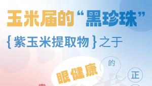 玉米届的“黑珍珠”，紫玉米提取物之于眼健康的正向影响