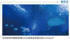空间架构师糖胺聚糖GAGs鳐鱼胶原蛋白肽Cartidyss®