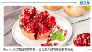 Grantria®红石榴浓缩果粉：由内至外焕发肌肤自然光彩