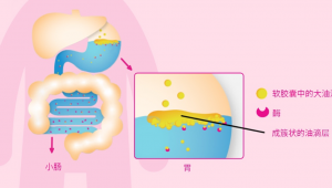破局创新: 微胶囊技术重新定义下一代DHA产品