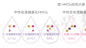 行业重磅！帝斯曼-芬美意GLYCARE®格睿可®3'-SL正式获批，HMOs组合应用再添新版图