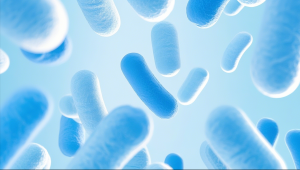 益生菌保健食品新国标倒计时，益生菌普通食品也期待结束“裸奔”