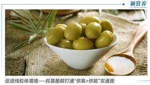 促进线粒体增殖——羟基酪醇打通“供氧+供能”双通路