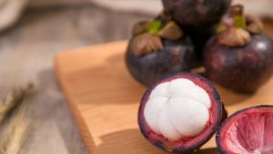 当“天然无抗”成为宠物营养新趋势，山竹提取物或将为“毛孩子”关节健康提供新选择