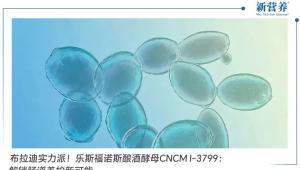 布拉迪实力派！乐斯福诺斯酿酒酵母CNCM I-3799：解锁肠道养护新可能