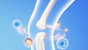 骨骼健康赛道再迎政策东风：解读2026版《成人骨质疏松症食养指南》