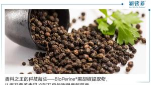 香料之王的科技新生——BioPerine®黑胡椒提取物，从提升营养素吸收到开启代谢健康新篇章