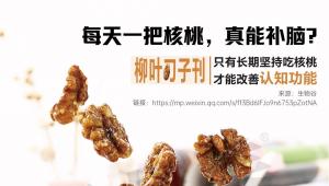 核桃补脑是智商税吗？《柳叶刀》子刊：看你能不能长期坚持