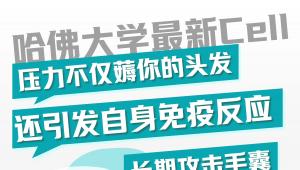 别只以为压力只是薅秃你！哈佛 Cell 证实：免疫系统会长期 “误伤” 毛囊