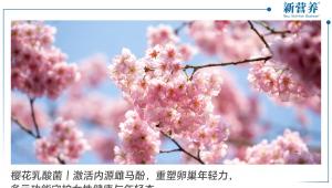 樱花乳酸菌｜激活内源雌马酚，多元守护女性健康与年轻态