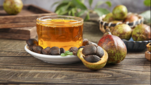 食药物质【山茶籽油】：东方智慧中的食药瑰宝
