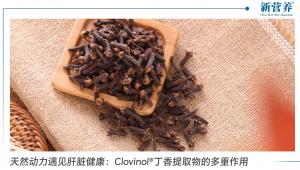 天然动力遇见肝脏健康：Clovinol®丁香提取物的多重作用