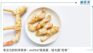 专注力的科学革命：enXtra®高良姜，给大脑“充电”