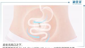 后生元风口之下，探索爆款后生元LAC-Shield®与LAC-Living+™的科学赋能之路