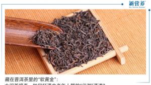 藏在普洱茶里的“软黄金”：大闽茶褐素，如何打通中老年人群的“代谢”通道？