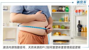 激活内源饱腹信号，天然来源的PI 2如何重塑体重管理底层逻辑