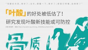 「叶酸」的营养价值有待深挖，相关研究给出骨骼养护新参考
