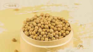 豆类怎么吃？最新研究发现：每天吃33克的豆类食品或可对寿命有积极作用