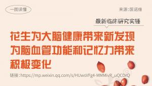 坚持16周食用花生，会为大脑健康与记忆力带来哪些变化？