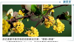 百亿激素平衡市场的创新解决方案：小檗碱复配粉Berbevis®，为女性健康赛道提供新思路