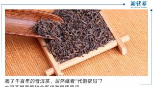 喝了千百年的普洱茶，居然藏着“代谢密码”？大闽茶褐素解锁全新代谢健康路径