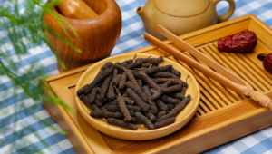 食药物质「荜茇」，从传统香料到现代产业的跨越与展望