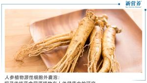人参植物源性细胞外囊泡：探寻传统药食同源植物在人体健康中的研究