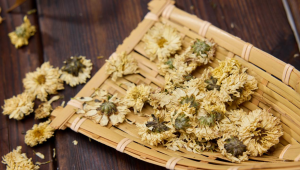 食药物质「菊花」：传统底蕴与现代发展的融合之路