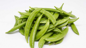 食药物质「刀豆」：传统认知与现代药理研究