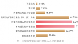 蛋白赛道火了！棒类产品趁势突围，如何让蛋白营养更适合大众？