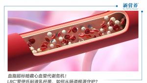 血脂超标暗藏心血管代谢危机！LRC®罗伊氏粘液乳杆菌，如何从肠道根源守护？